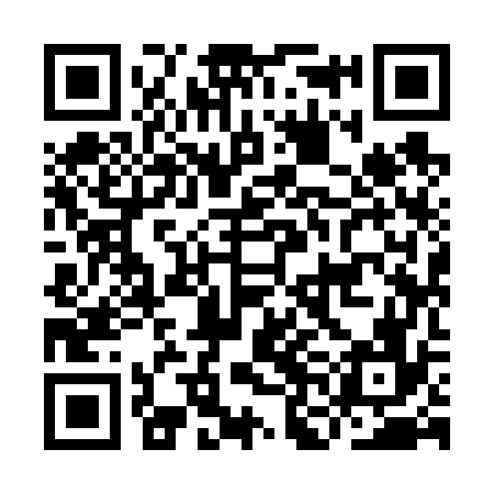 QR code for INI676