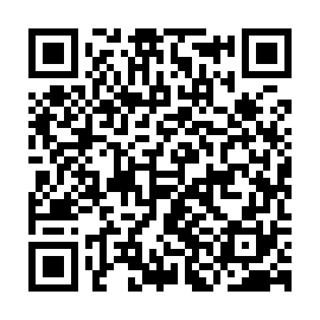 QR code for INI970