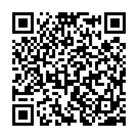 QR code for INJ533