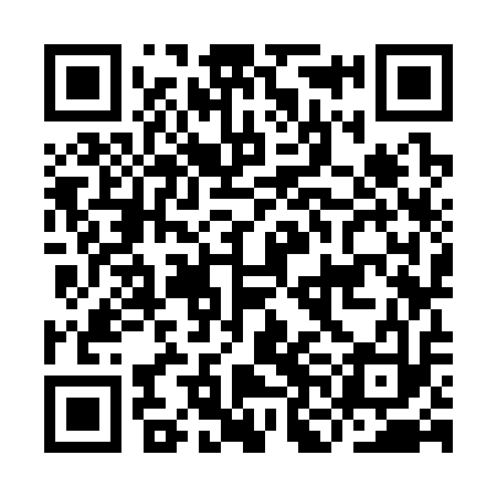 QR code for INK313