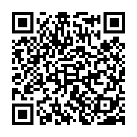 QR code for INK479