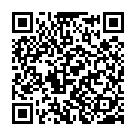 QR code for INK529