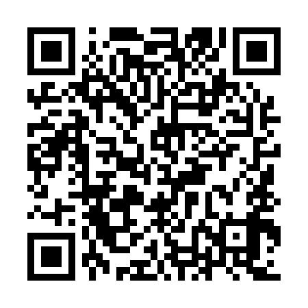 QR code for INL199