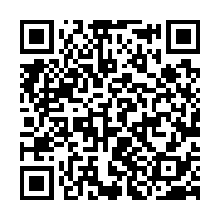 QR code for INL738