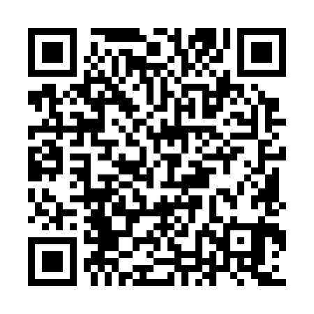 QR code for INM381