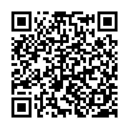 QR code for INM385