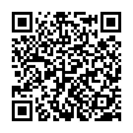 QR code for INN509