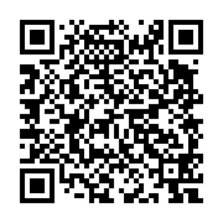 QR code for INO498