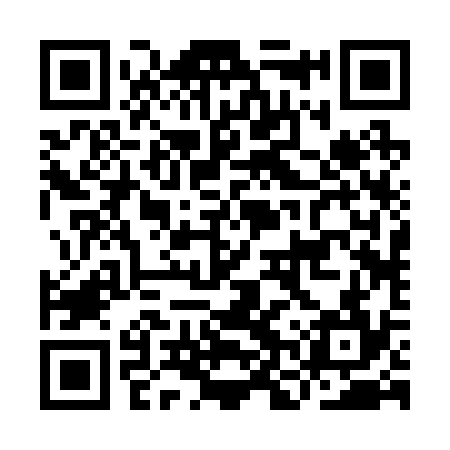 QR code for INR234