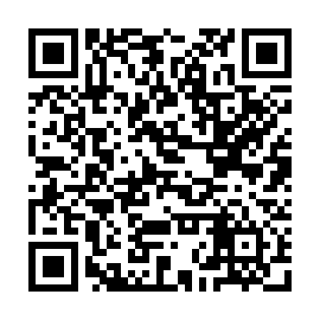 QR code for INR334