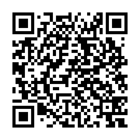 QR code for INR339