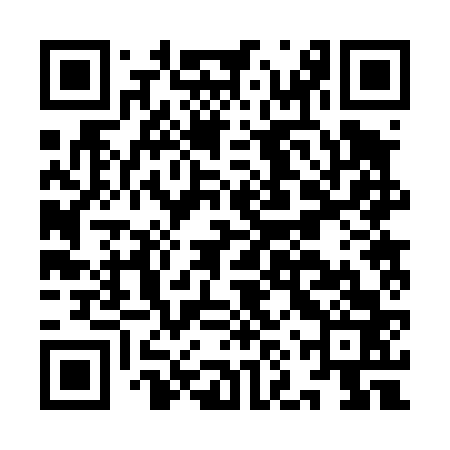 QR code for INR463
