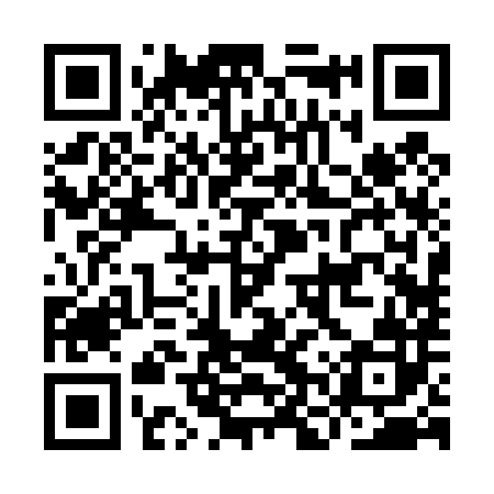 QR code for INR482