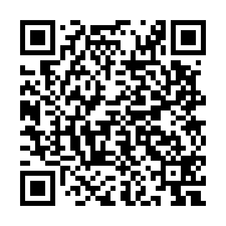 QR code for INS519