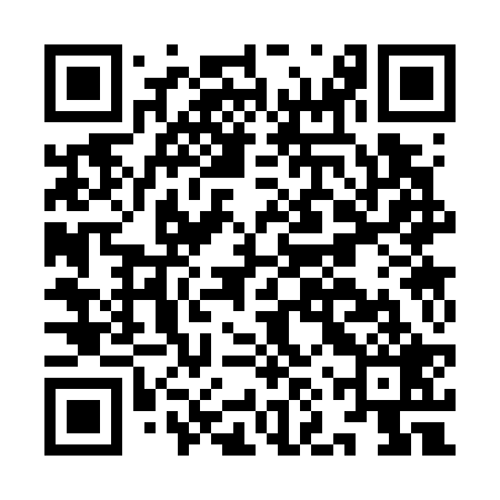 QR code for INS729