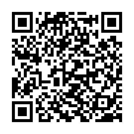 QR code for INS739