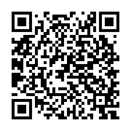 QR code for INU381