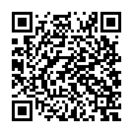 QR code for INV163