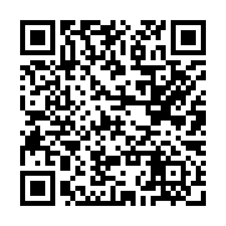 QR code for INV991