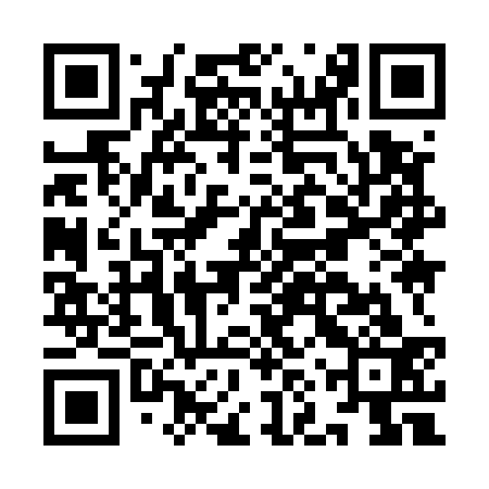 QR code for INY533