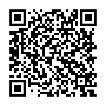 QR code for IOI919