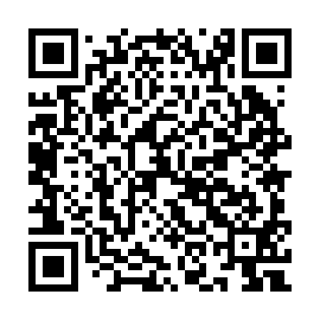 QR code for IOM291