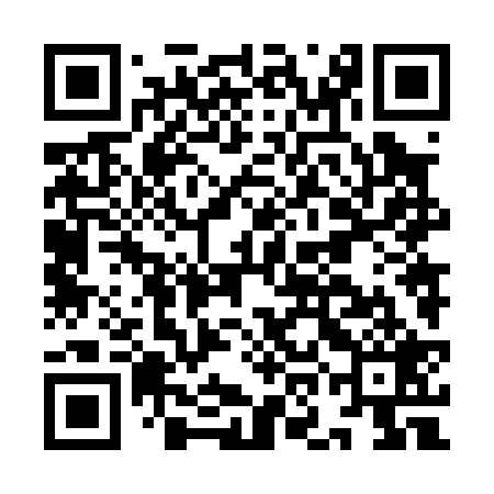 QR code for ION029
