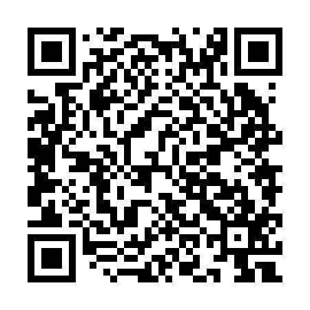 QR code for ION217