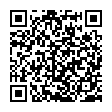 QR code for ION307