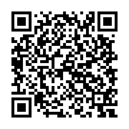 QR code for ION511