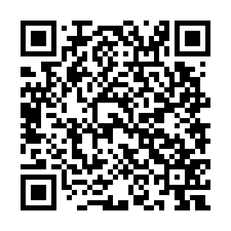 QR code for ION777