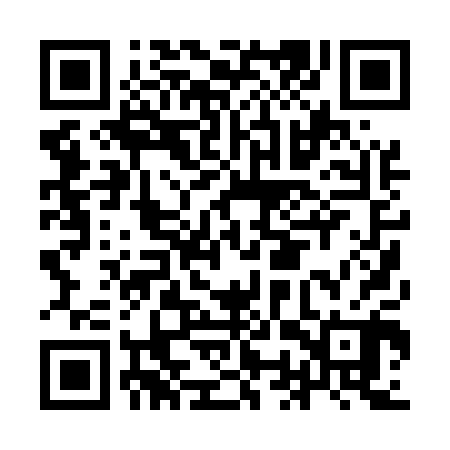 QR code for IOP500