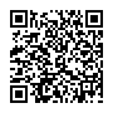 QR code for IOU317