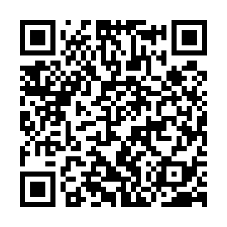 QR code for IOU539