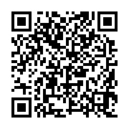 QR code for IPA390