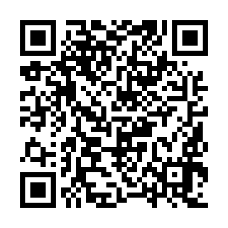 QR code for IPA597