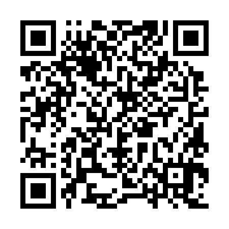 QR code for IPE384