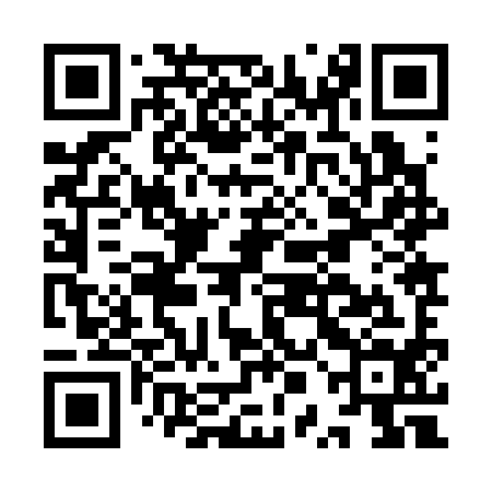 QR code for IPJ394