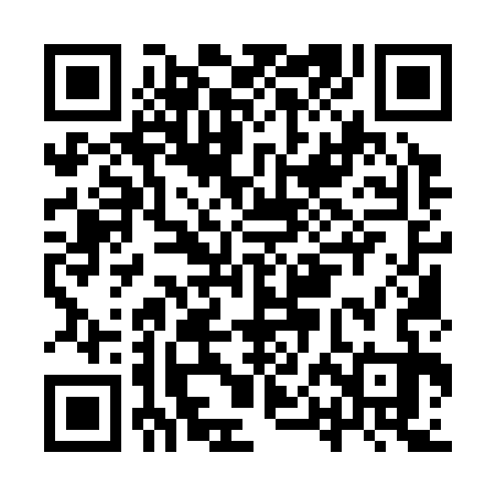 QR code for IPM333