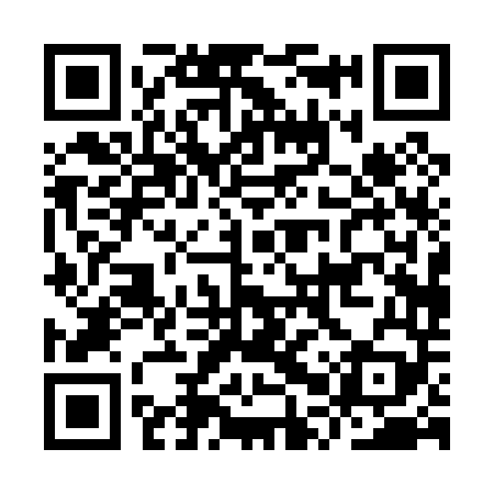 QR code for IPP049
