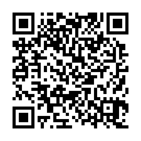 QR code for IPP325