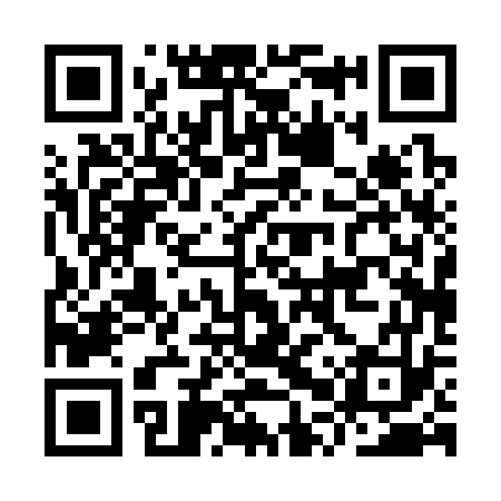 QR code for IPP373