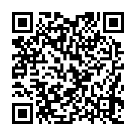 QR code for IPP378