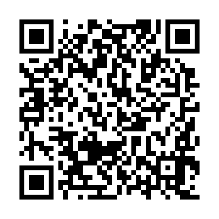 QR code for IPP397