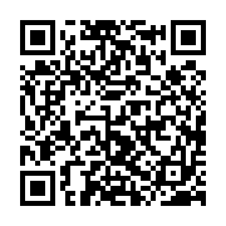 QR code for IPP513