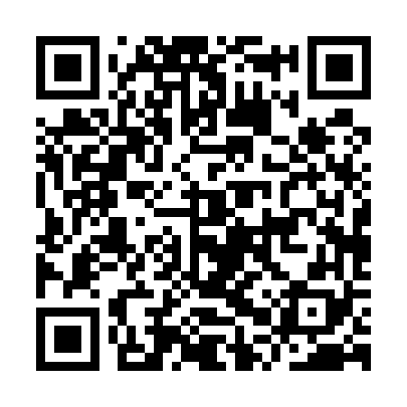 QR code for IPP568