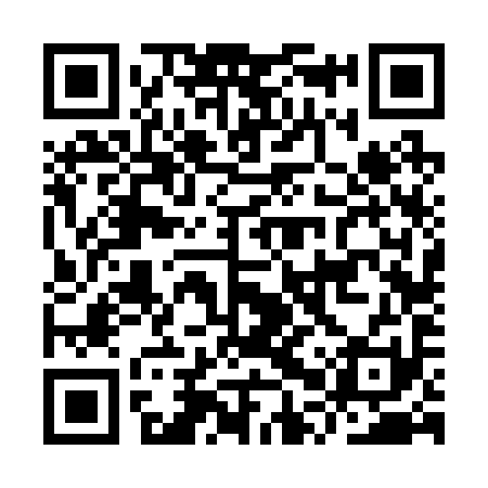 QR code for IPV291