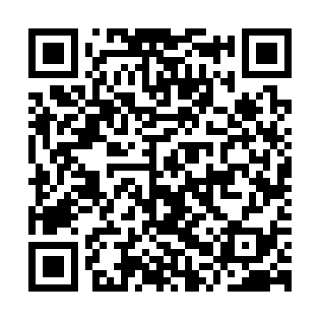 QR code for IPV339
