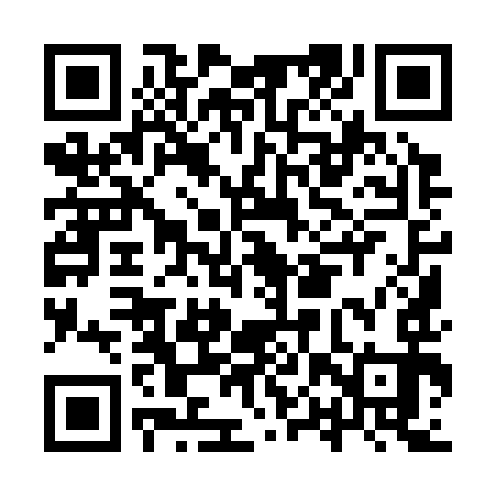 QR code for IPY393