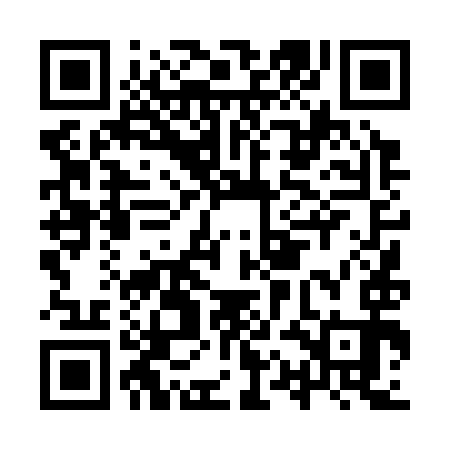 QR code for IQD393